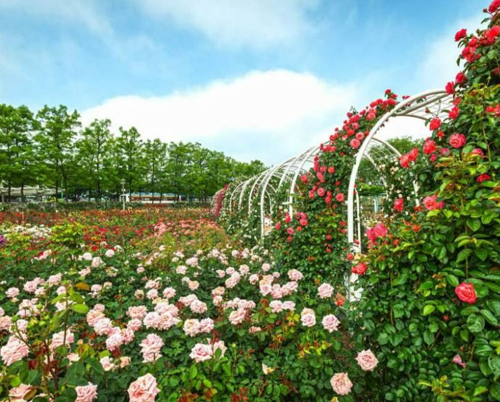 주요행사프로그램