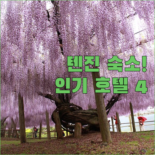 후쿠오카 텐진 숙소 추천 위치 좋은 ..