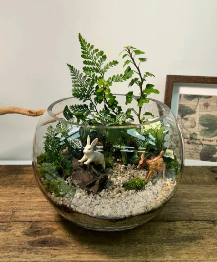 아이엠모스테라리움