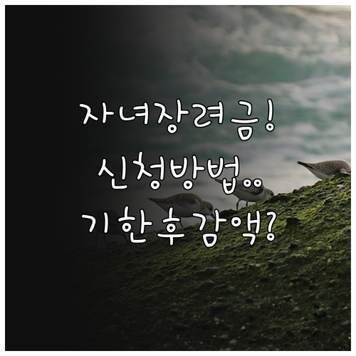 자녀장려금 홈택스 신청 방법과 기한 ..
