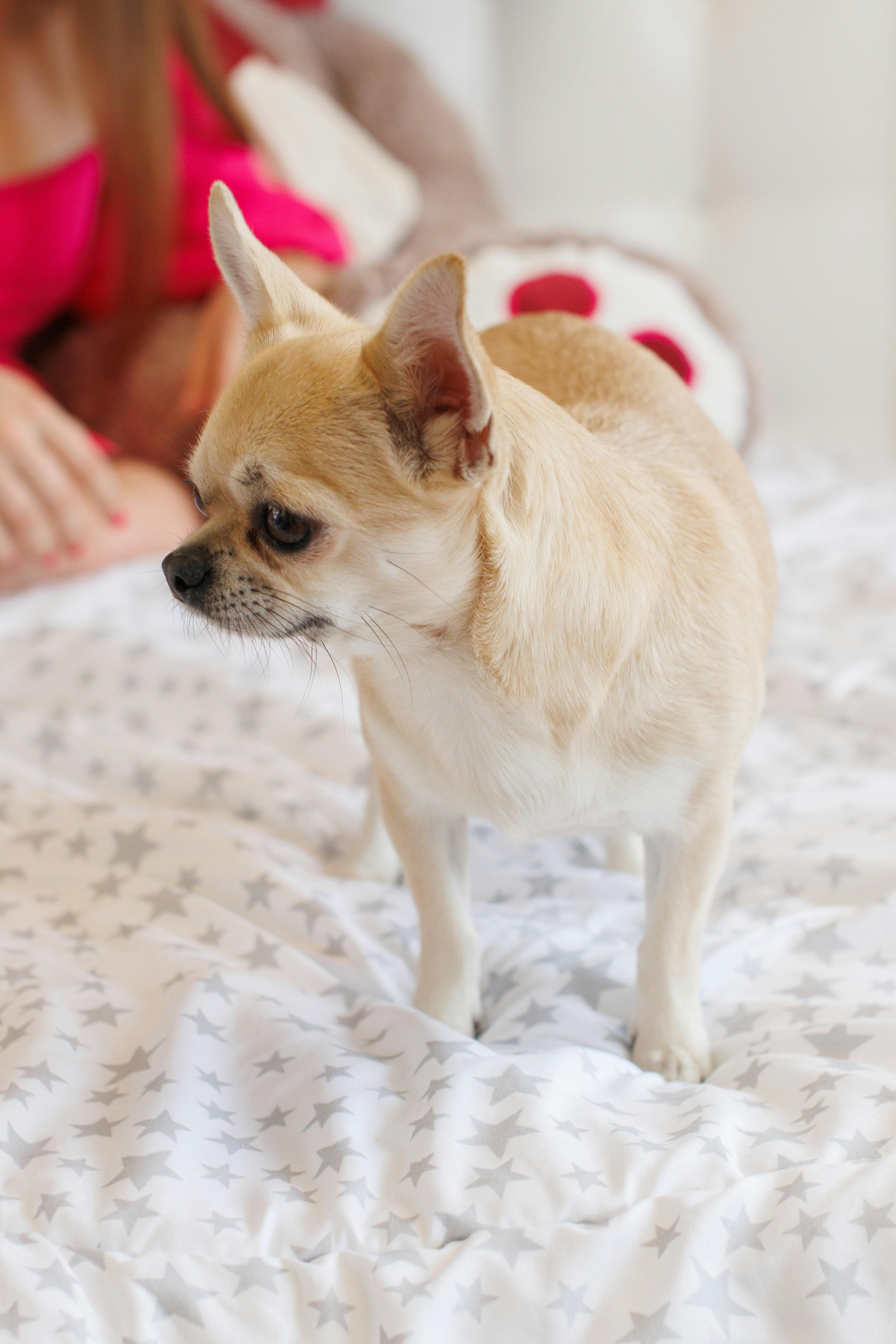 임성훈 프로필 나이 아들