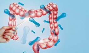 부모님 영양제 추천 영양소 유산균