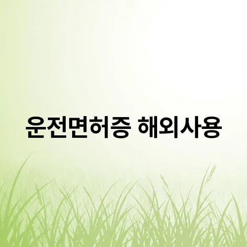 운전면허증 해외사용