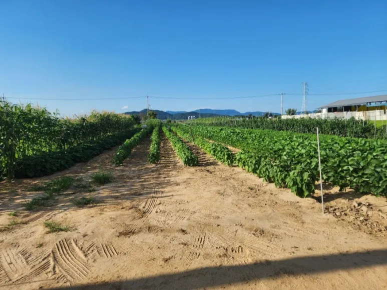 녹지지역이란? 개발 이전에 반드시 이해해야 할 기본 개념
