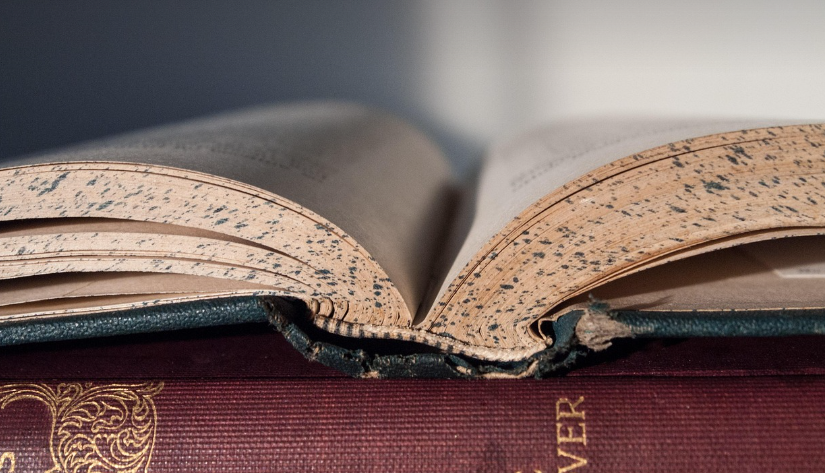 학습 스타일과 교육심리학: 효과적인 학습법 찾기