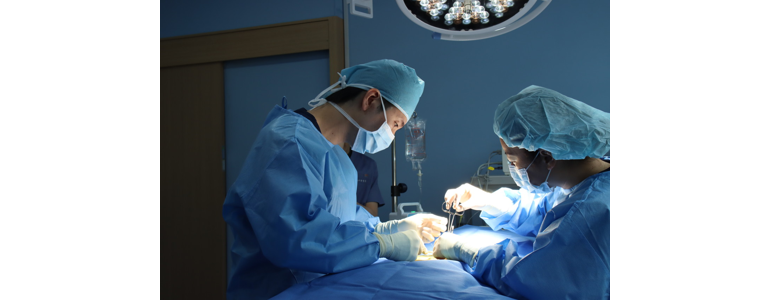 양산시 동물병원