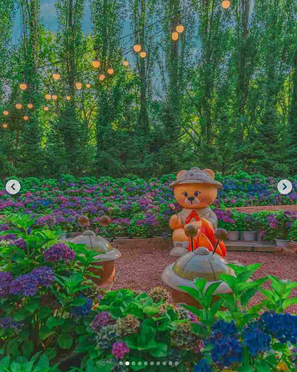 이월드 수국 포레스트 가든