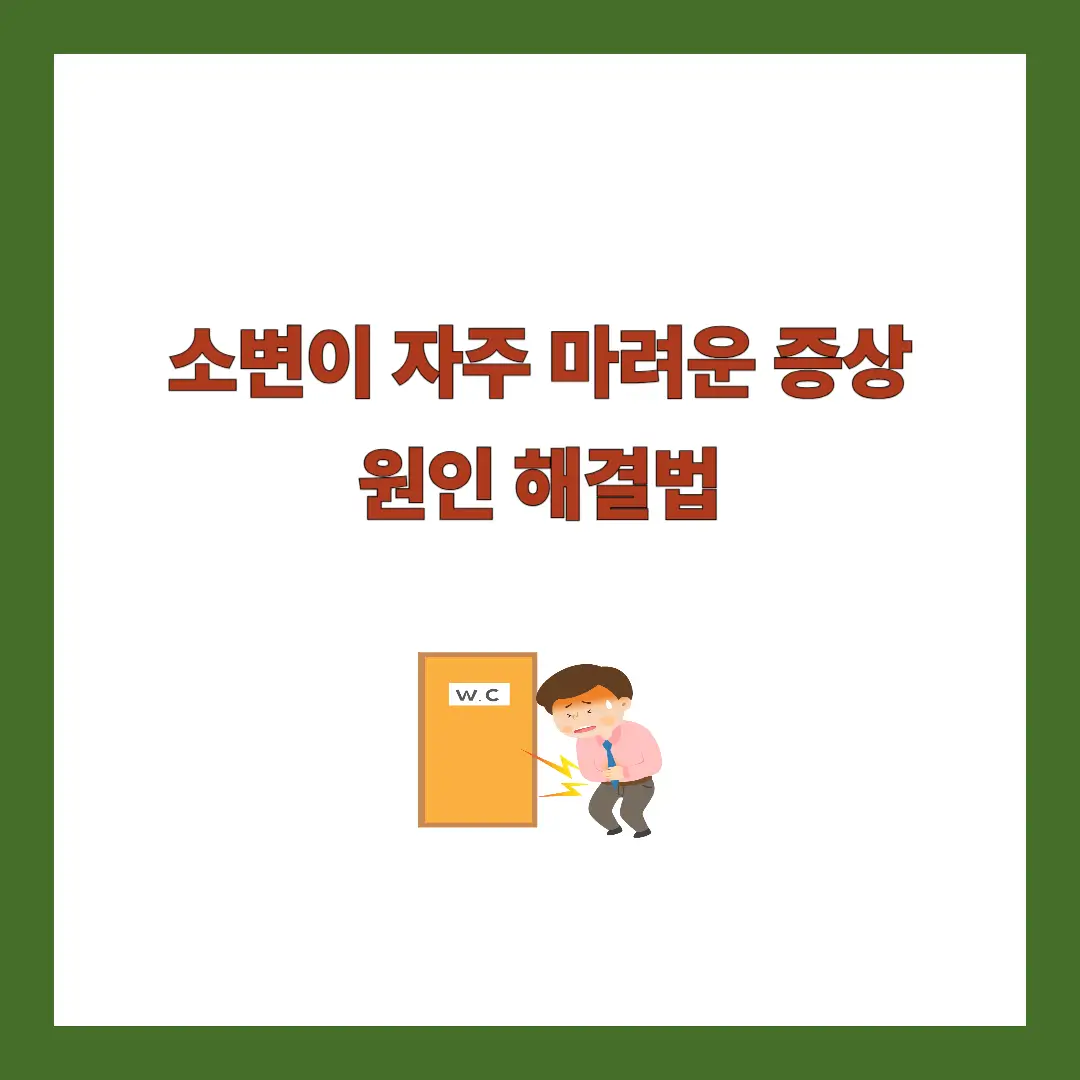 소변이 자주 마려운 증상