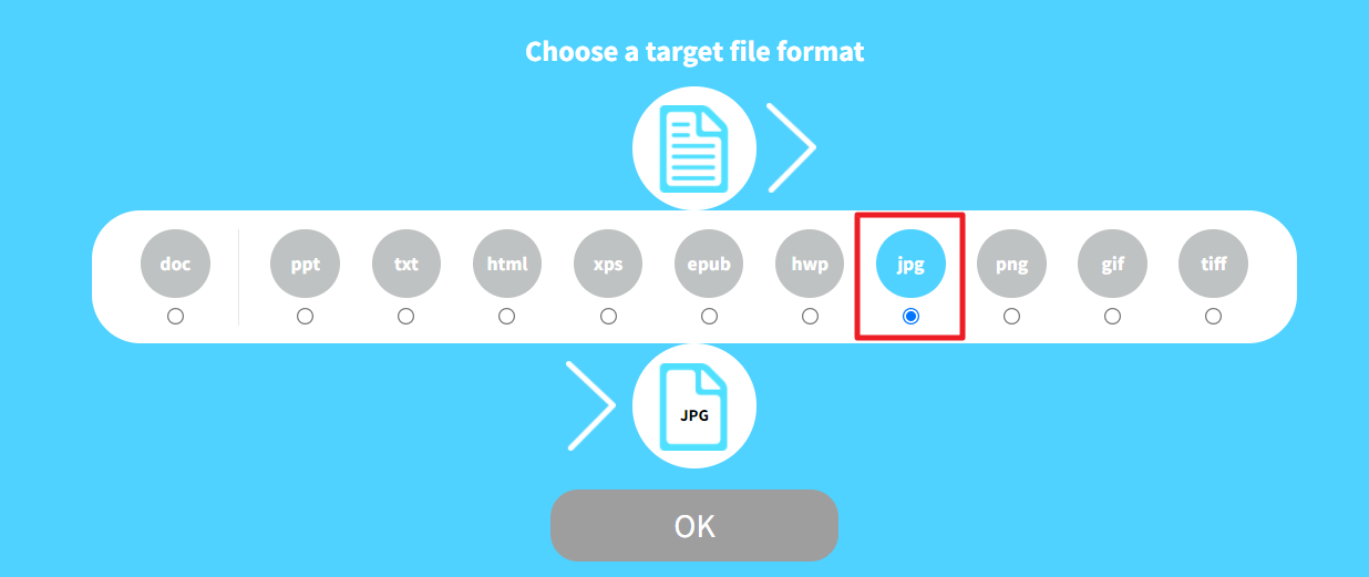 PDF JPG 변환