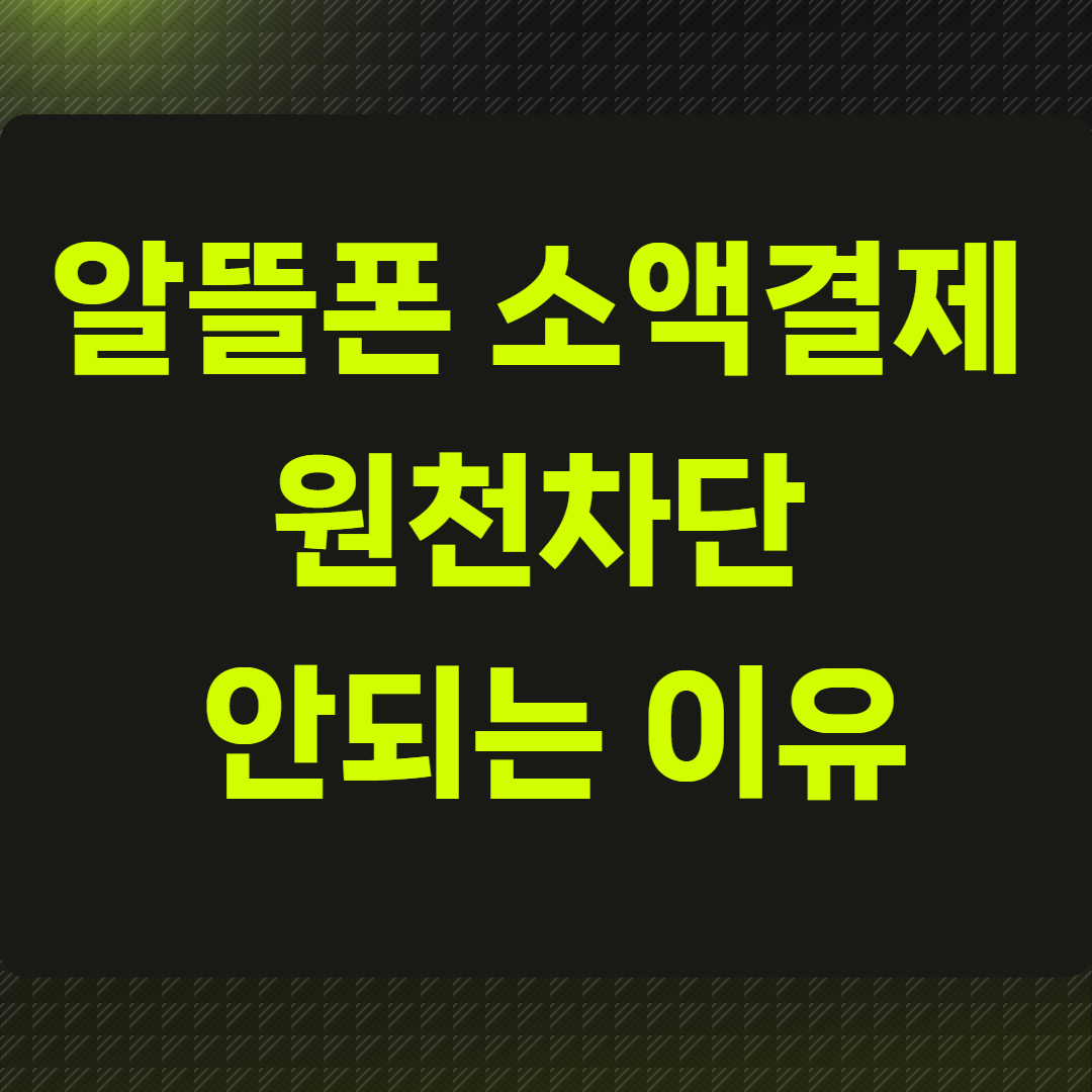 알뜰폰 소액결제 원천차단 안되는 이유