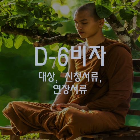 D6비자