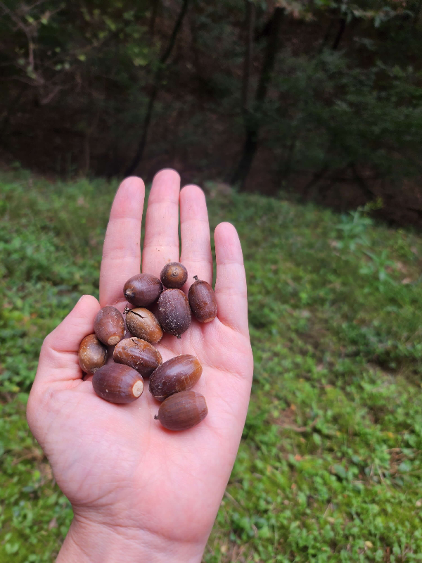경기도여행지추천