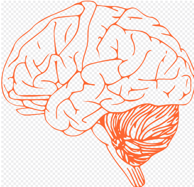 🧠 불안감을 줄이는 뇌과학적 방법 5가지