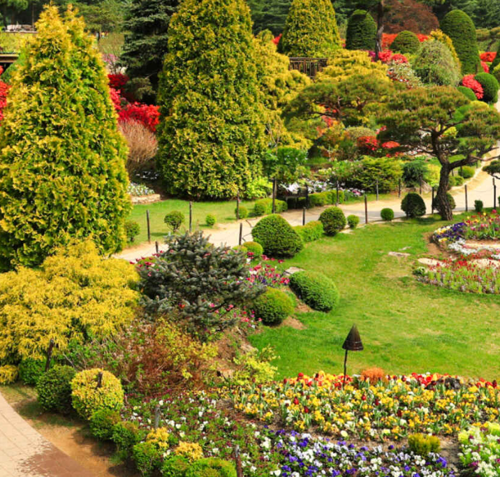 아침고요수목원