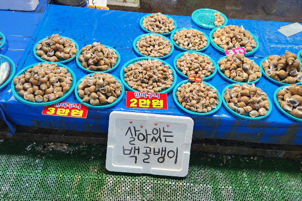 백골뱅이란 어떤 해산물인가요
