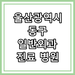 울산광역시 동구 일반외과 진료 의료기관 찾기