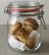 송이버섯 보관방법