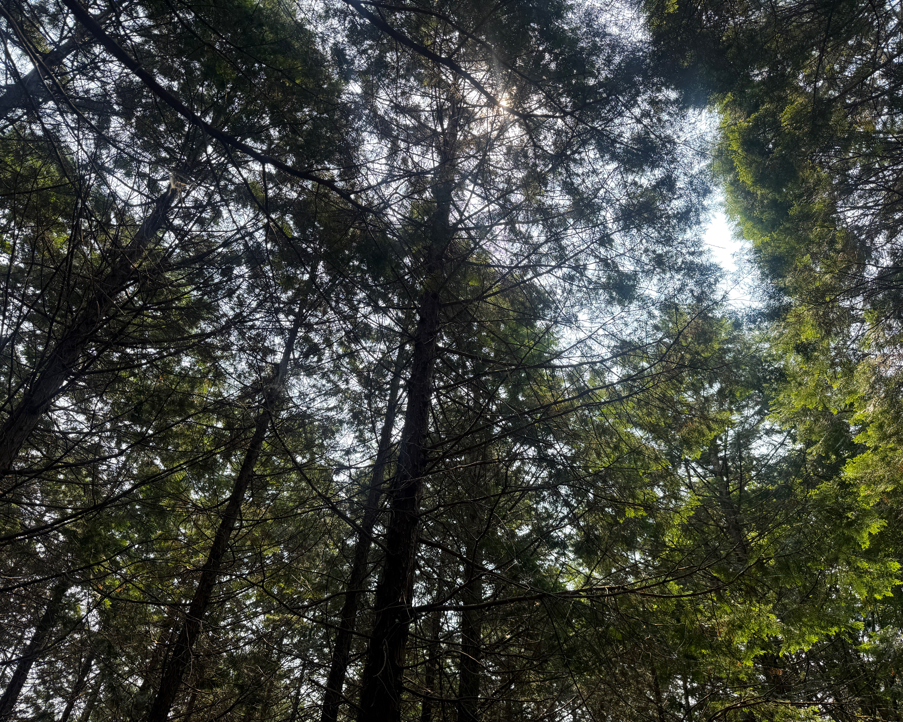 화순수만리생태숲공원