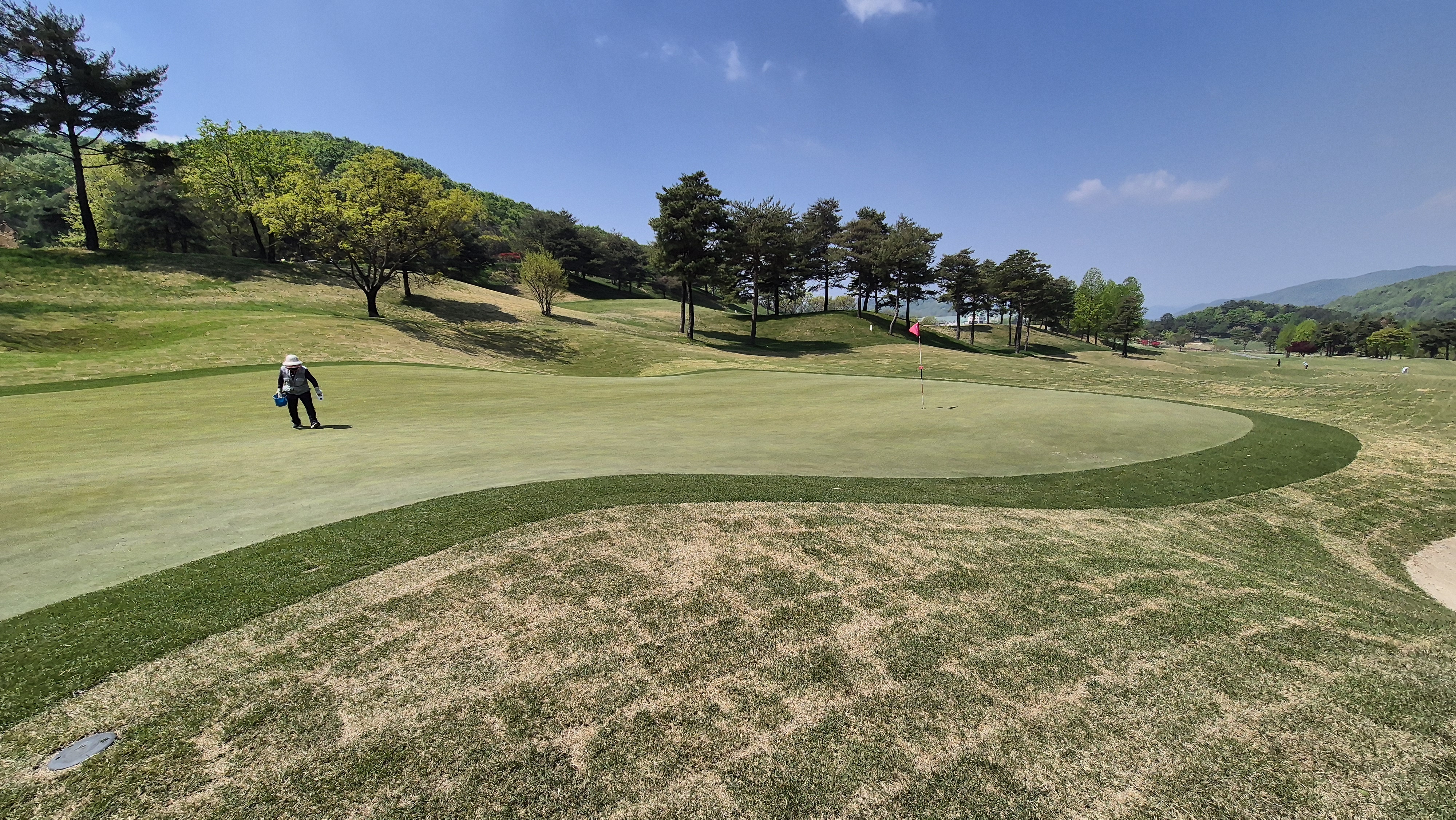 마에스트로cc 라운드 후기