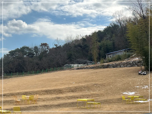 넓은 잔디밭 오른쪽에 대나무숲에 팬더조형물이 있고 노란색 의자와 벤치가 있다.