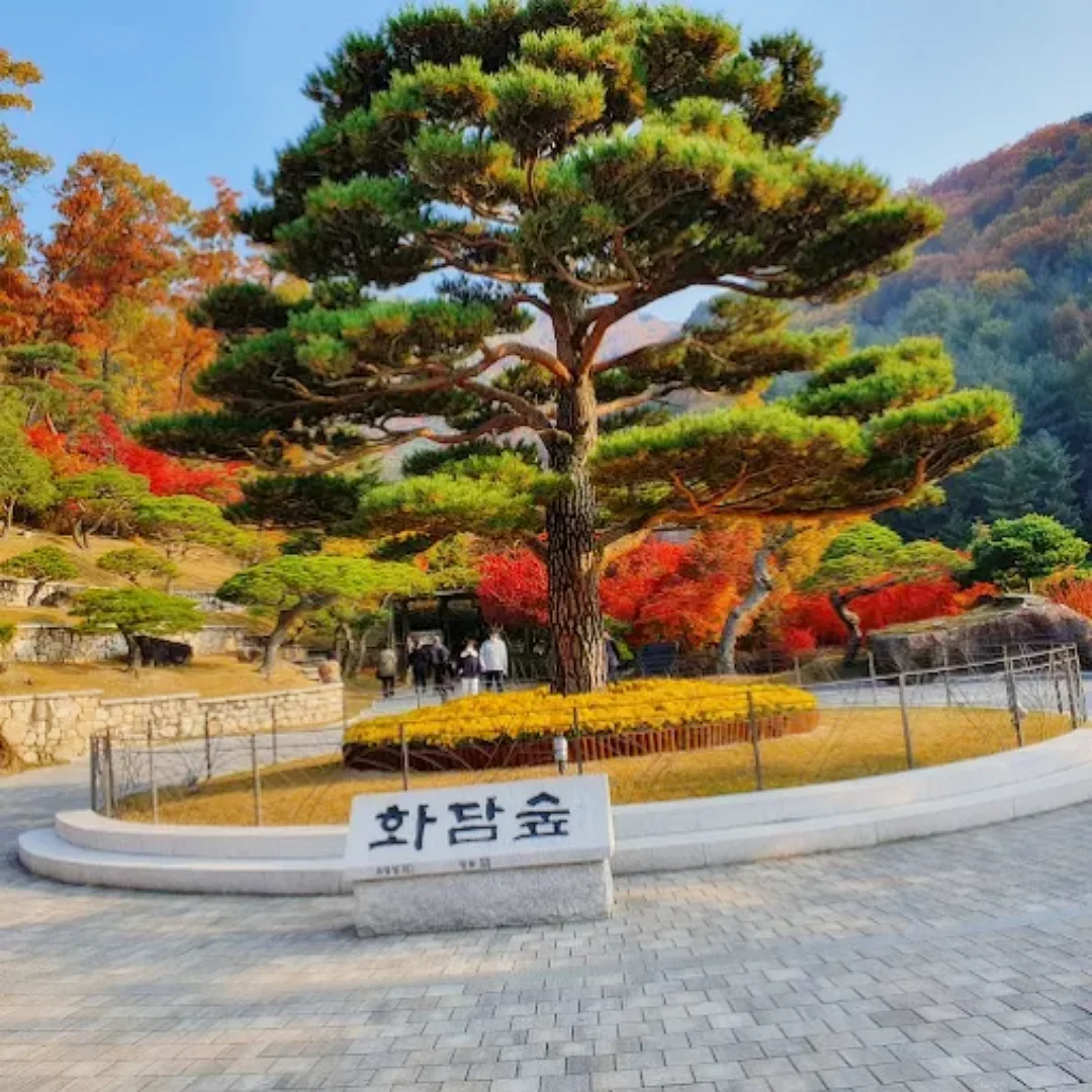 화담숲 숨은 포토스팟