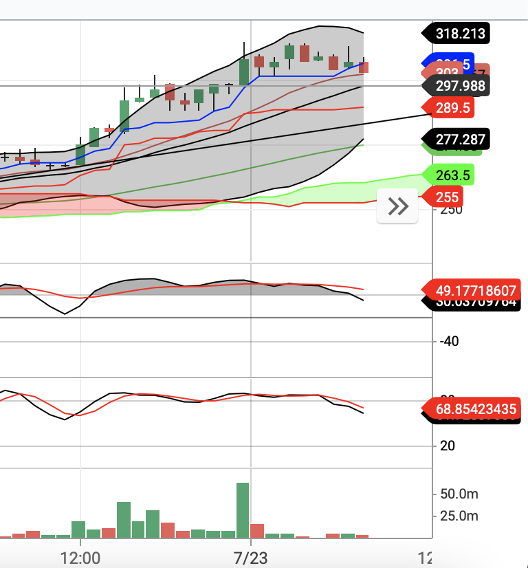 스텔라루멘 전망