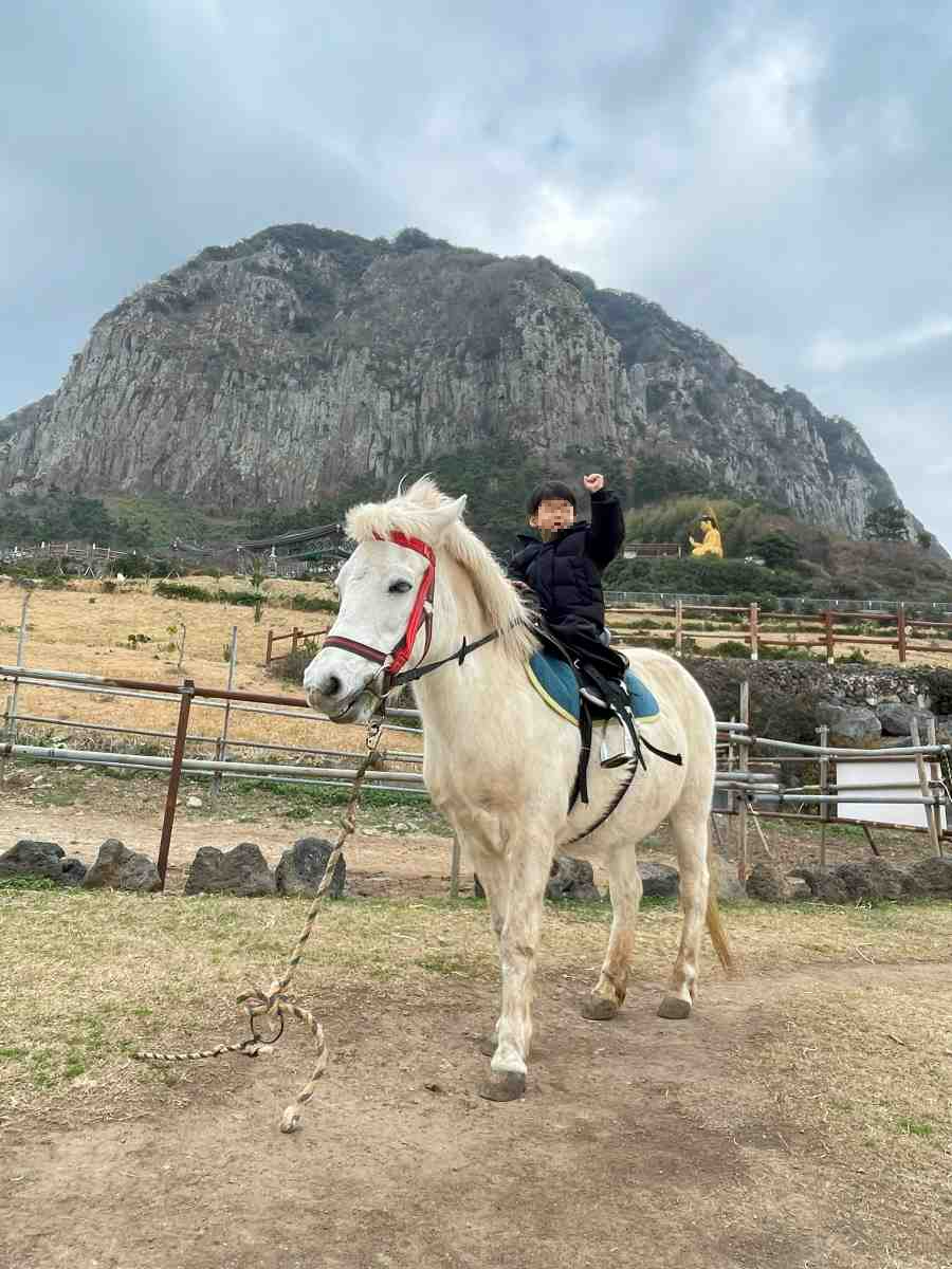 제주도-아이데리고-가볼만한곳