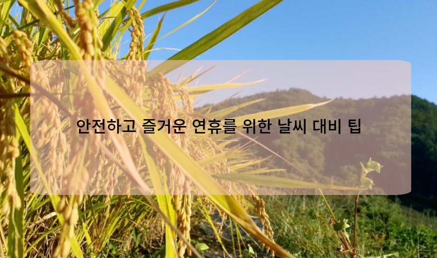 안전하고 즐거운 연휴를 위한 날씨 대비 팁
