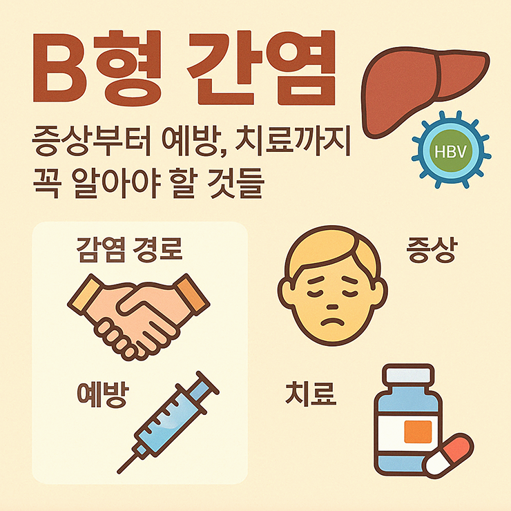 B형 간염 증상부터 예방, 치료까지 꼭 알아야 할 것들