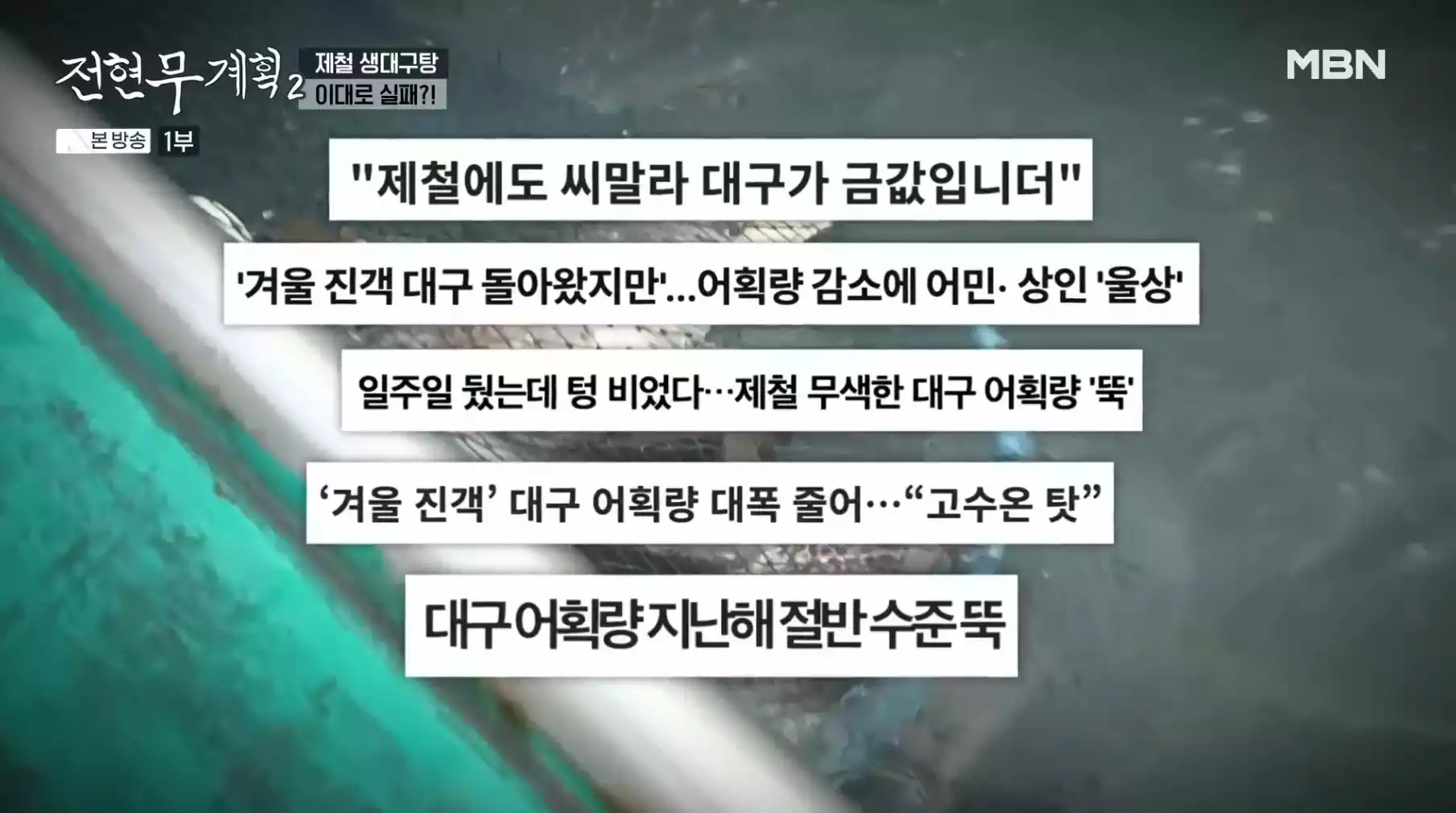 대구 어획량 기사