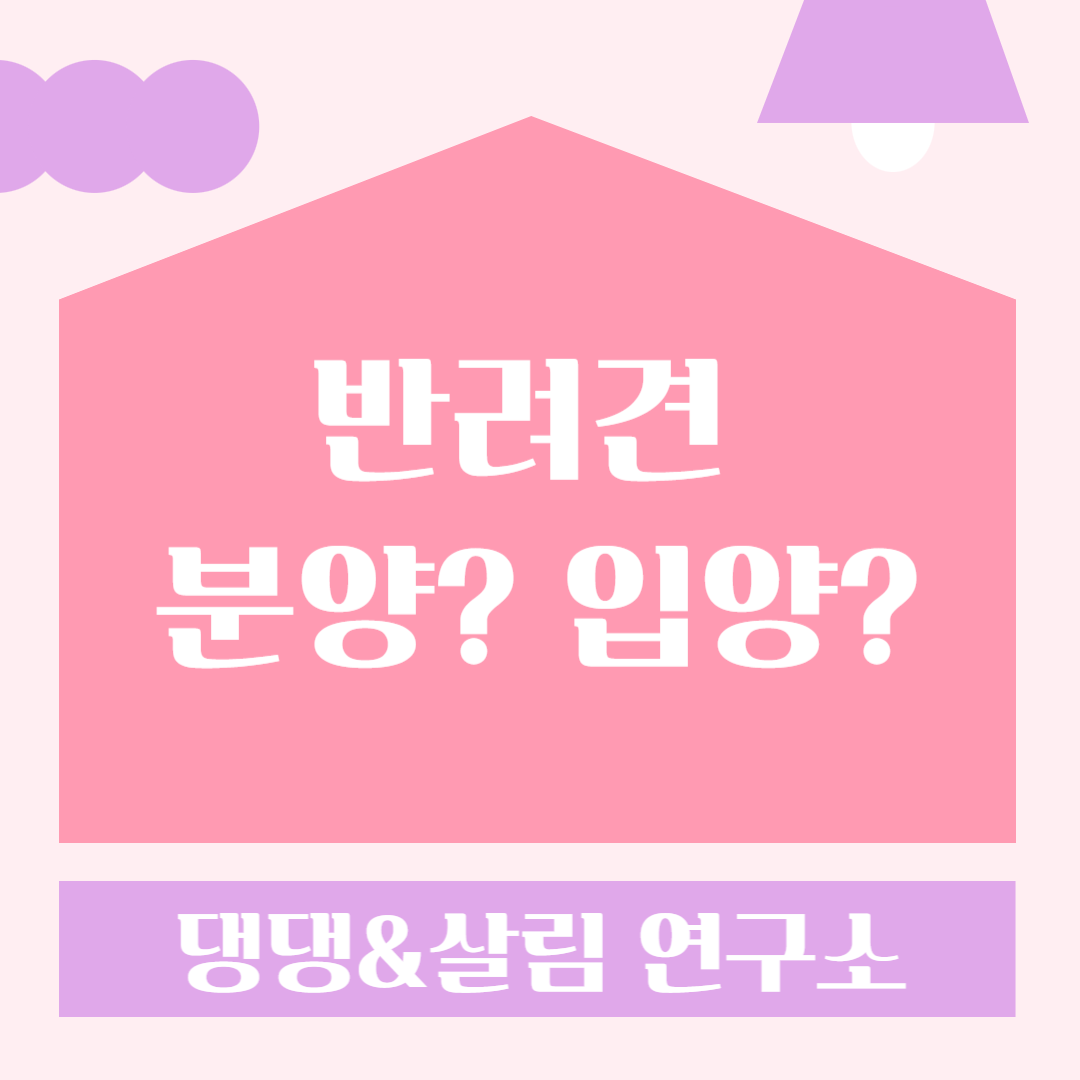 반려견분양입양