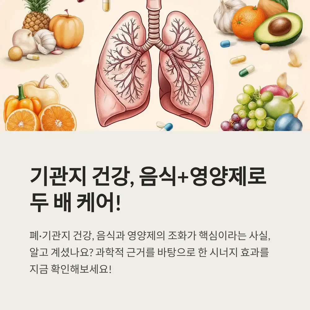 기관지에 좋은 음식과 영양제 정보 소개