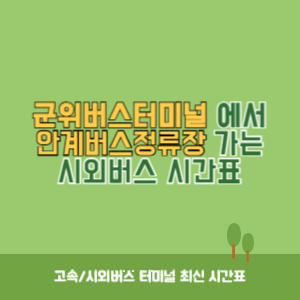 군위버스터미널에서 안계버스정류장 가는 시외버스 시간표 최신정보