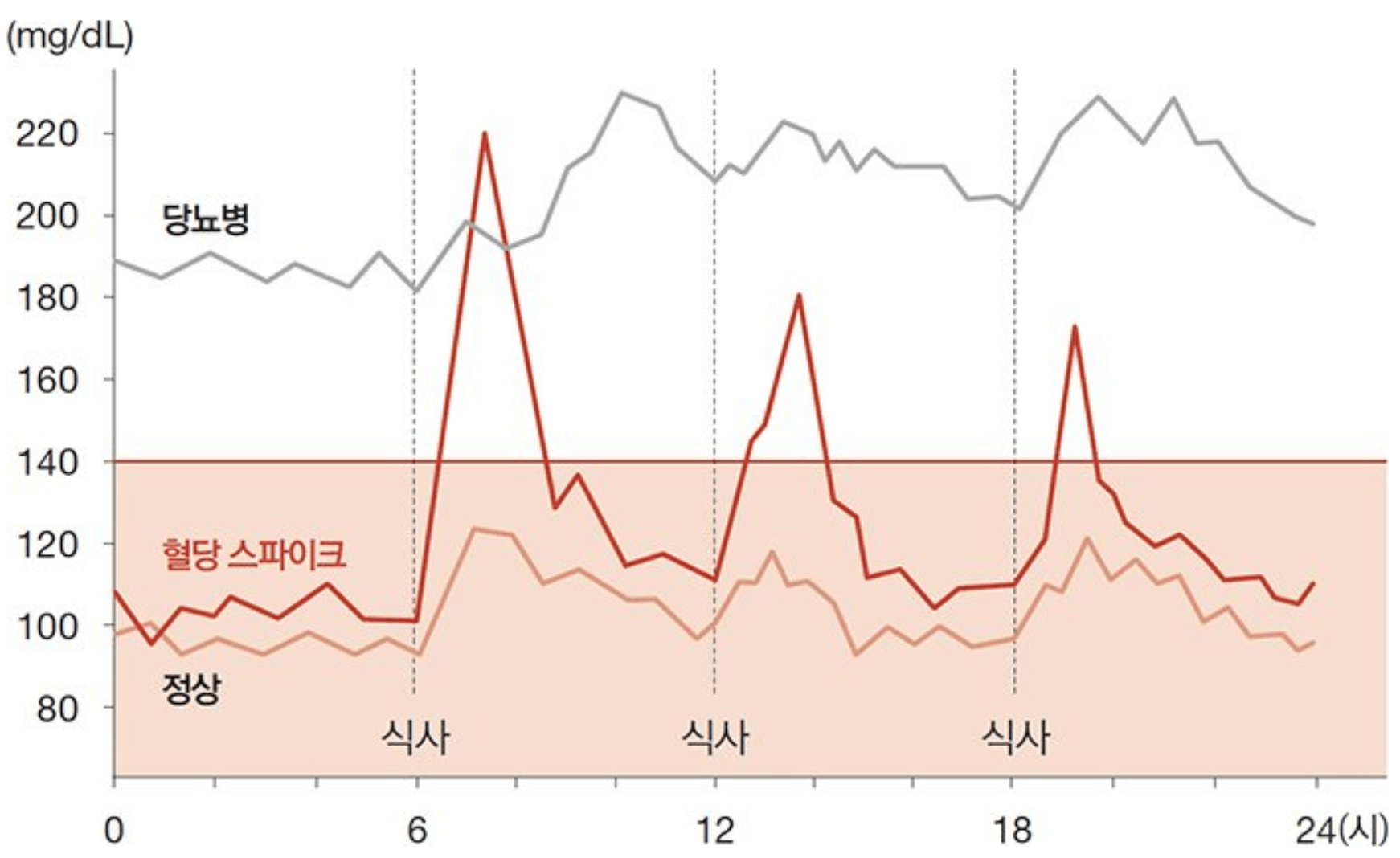 혈당 스파이크 증상