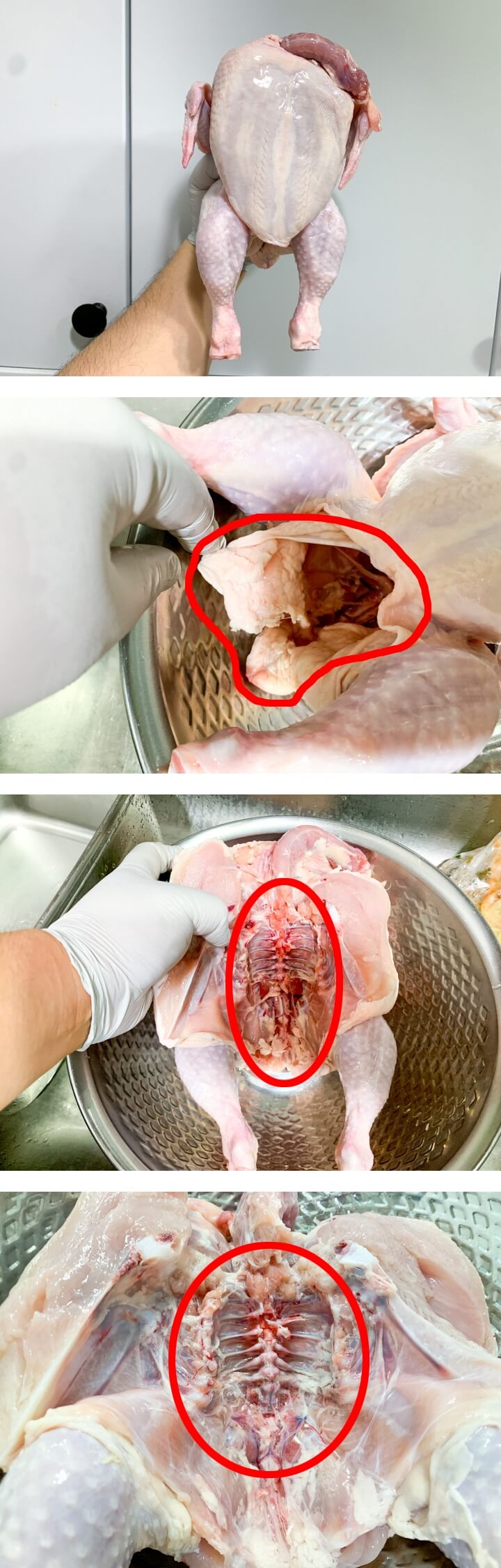 닭백숙-생닭-손질법