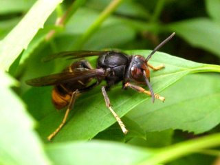 최문보 교수 1호 제자 김재희 연구원