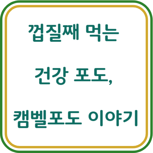 캠벨포도