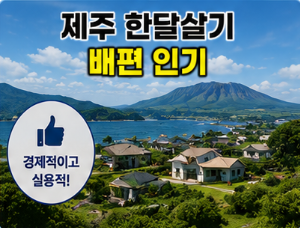 배편 인기