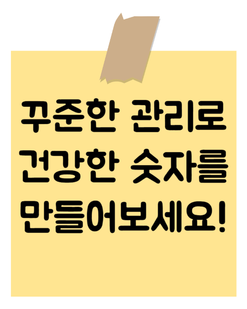 당화혈색소 정상수치