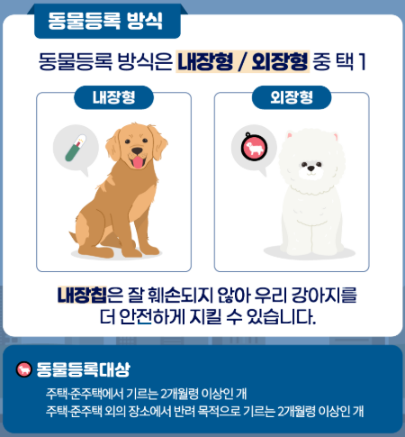 반려견 등록제