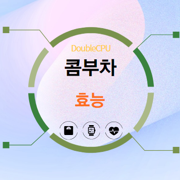 콤부차 효능 탐구