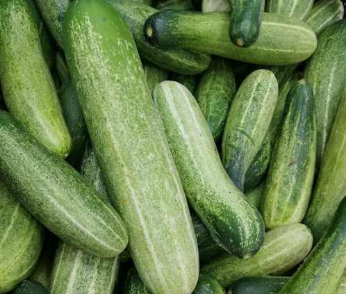 방광에 좋은 음식 10