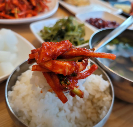 전현무계획2 대구 무침회 납작만두 57년 전통 원조 맛집
