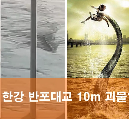 한강 괴생명체