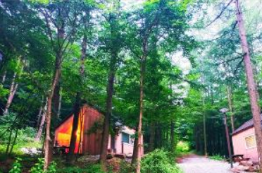 조령산 자연휴양림 사진