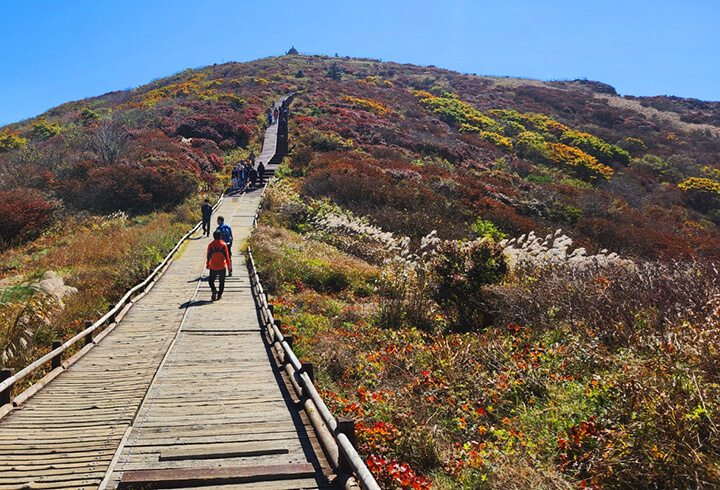 국립공원 예약통합시스템