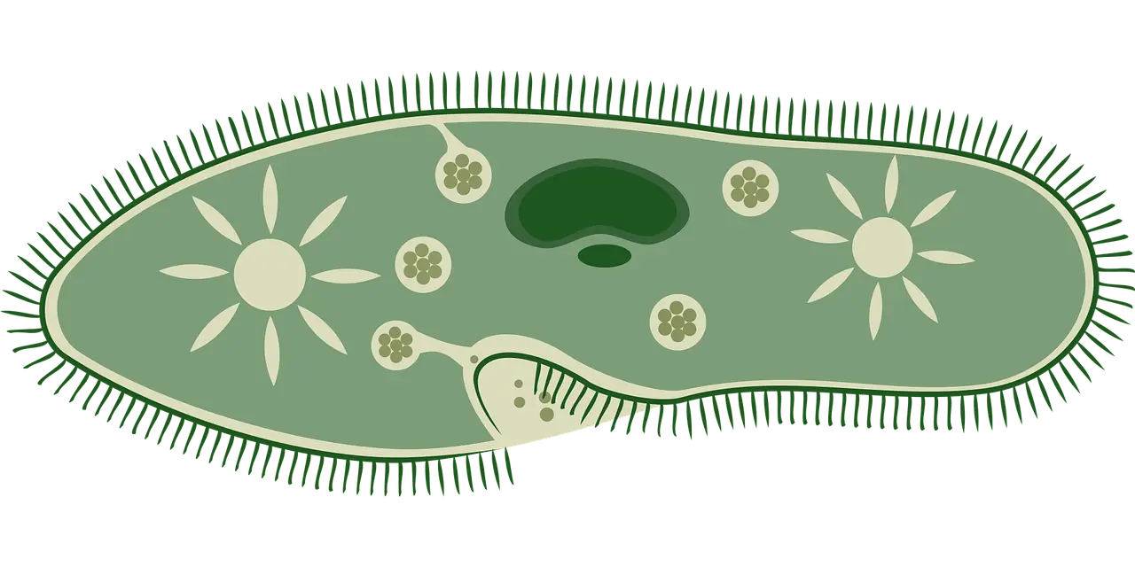 미생물 연료전지 2차 전지와의 차이