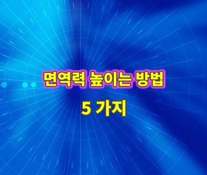 면역력-높이는-방법