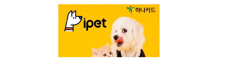 펫보험 비교