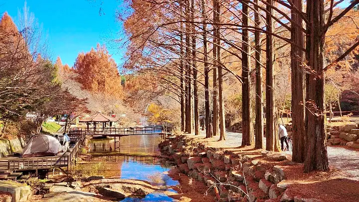 캠핑장 맛있는 하루! 오캠맨 먹캠 도전 맛있는 하루! 오캠맨 먹캠 도전 추천
